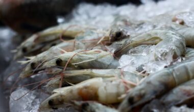 Indian shrimp already among seafood's biggest casualties of Trump trade war