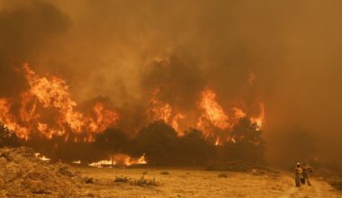 Wildfires hit France, Spain and entire Mediterranean rim of Europe