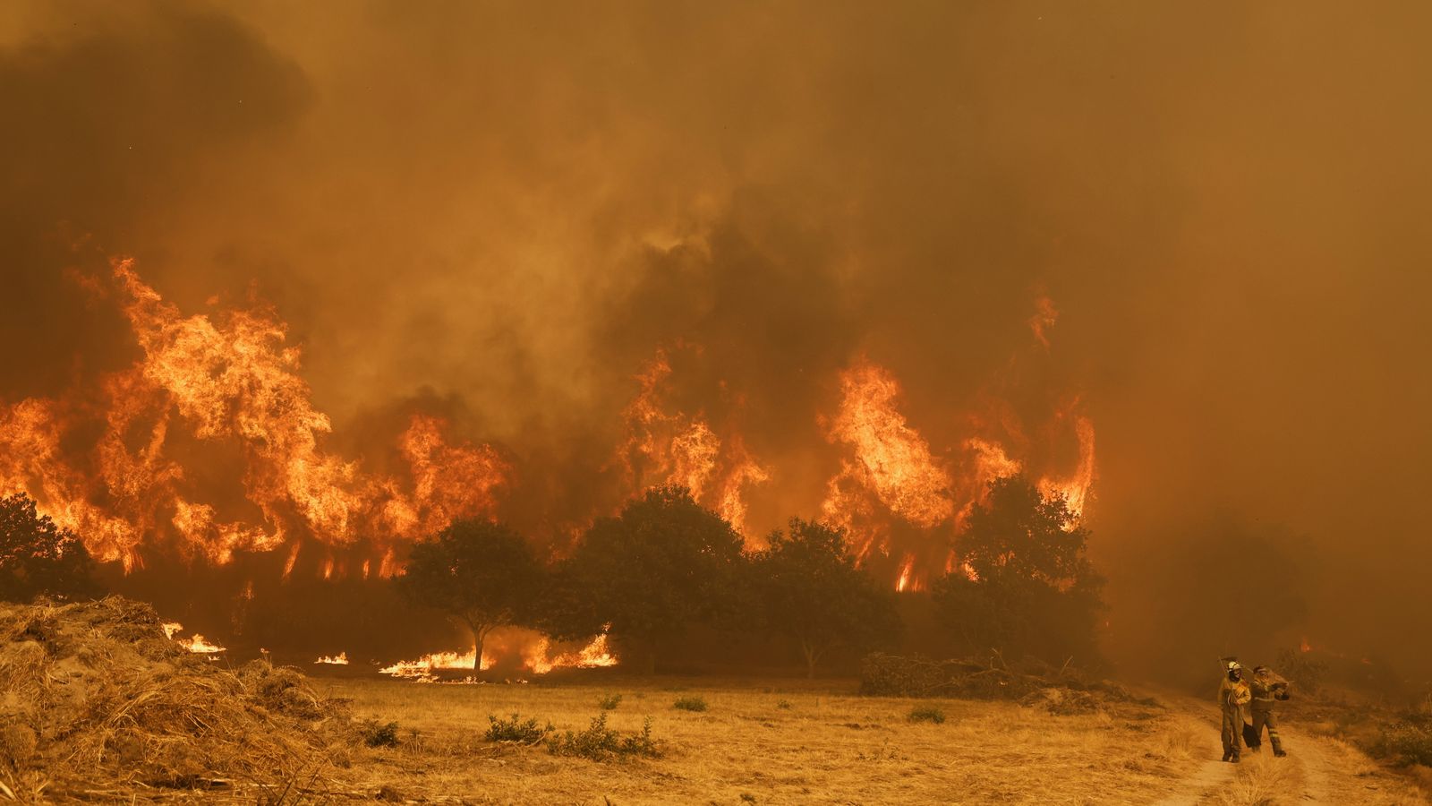Wildfires hit France, Spain and entire Mediterranean rim of Europe