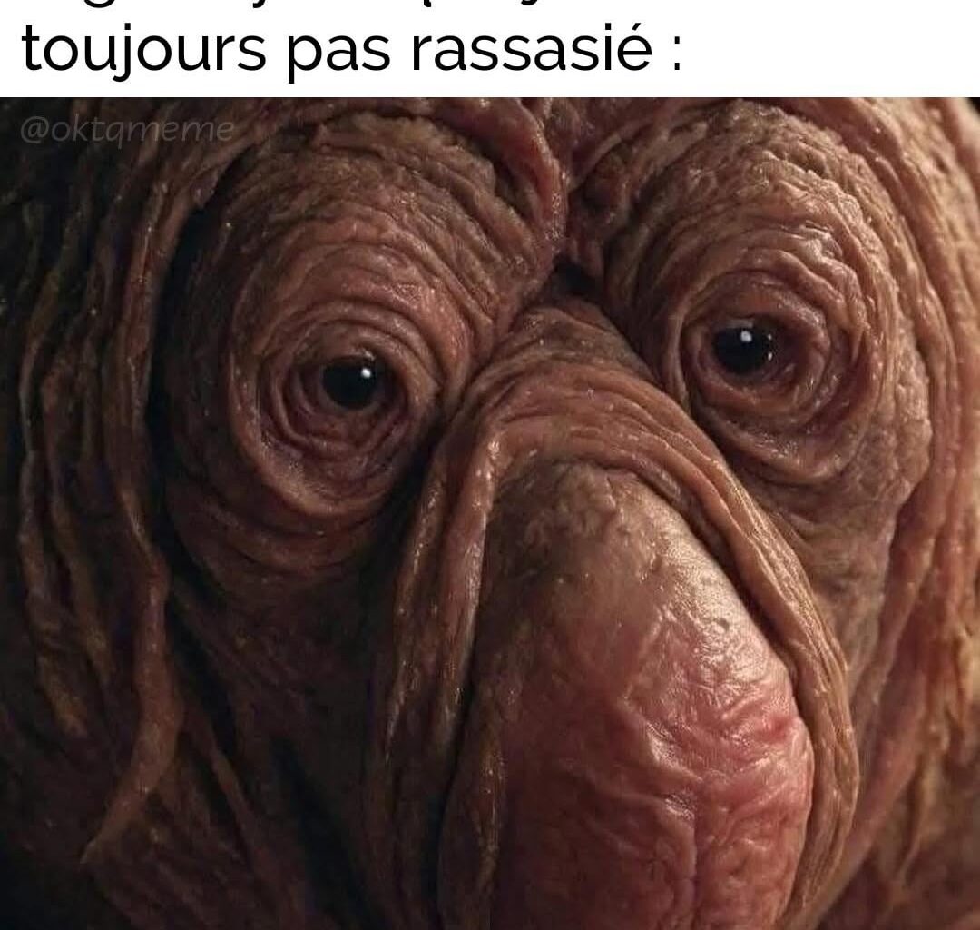 Kenavo