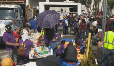 Los Angeles immigrant advocates plan "day of protest," boycotts after immigration raids at Home Depot, MacArthur Park