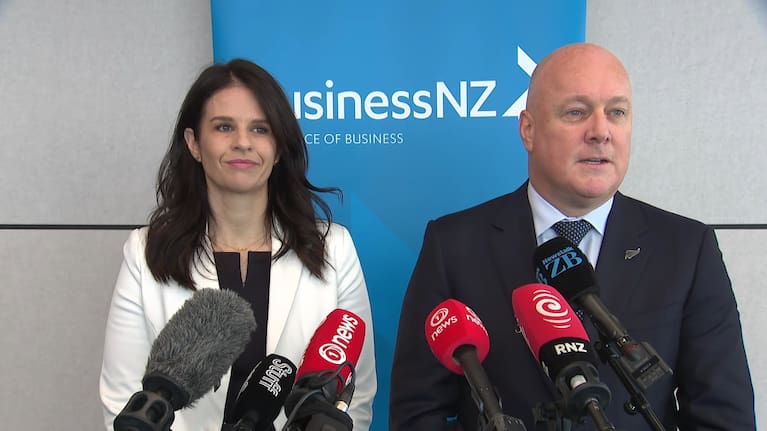 Christopher Luxon and Erica Stanford answer questions following their education announcement.