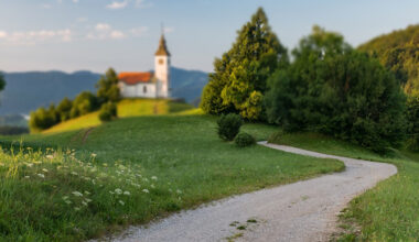 Reflections on Pope Leo XIV’s Inaugural Message on Creation – Catholic World Report