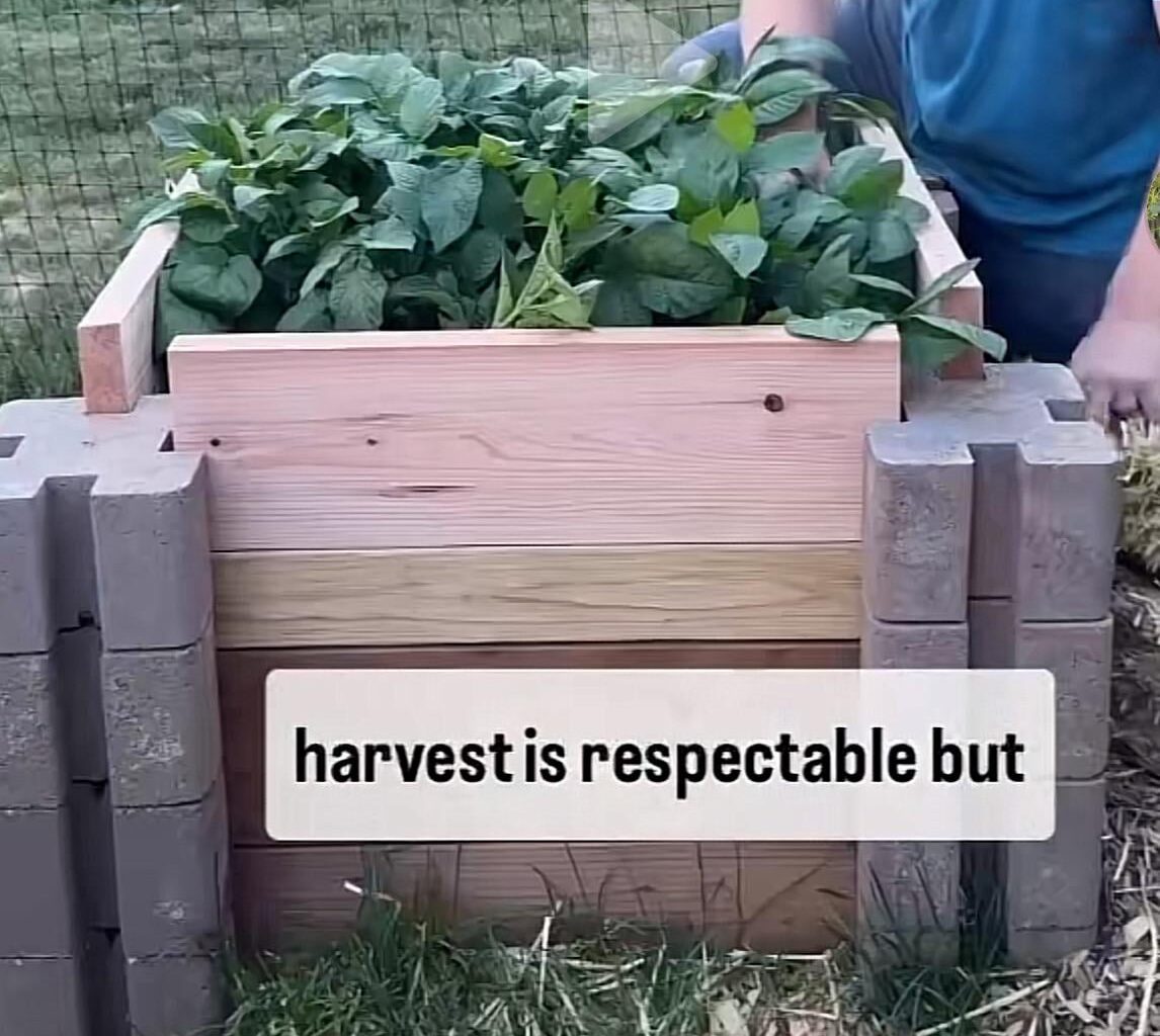 Gibt es solche Steine in Deutschland