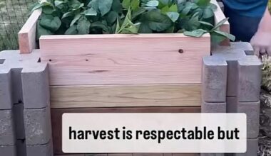 Gibt es solche Steine in Deutschland