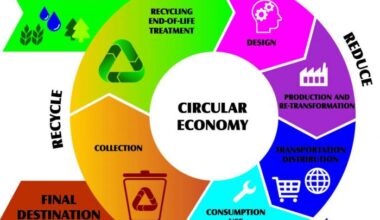 Romania Last in the EU in the Transition to a Circular Economy