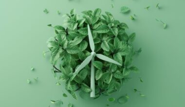 Romania has over 100 green startups but still lags behind Poland and Hungary in CleanTech, report finds