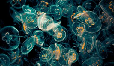 A Mob of Alien Creatures Just Took 4 Nuclear Reactors Completely Offline