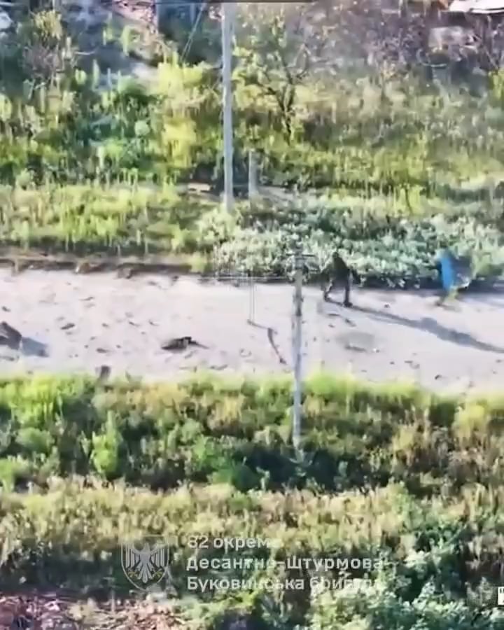 Russian soldier tried to help his comrade being chased by FPV, Dobropillya axis
