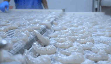 Daily recap: Indian shrimp already a casualty of US trade war; RAS firm's CEO to retire