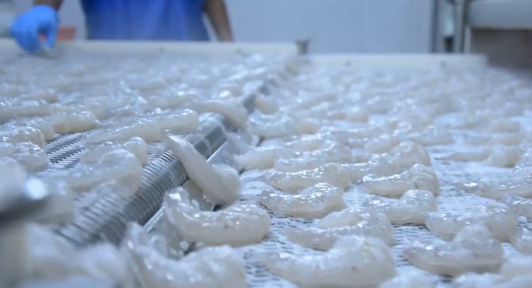 Daily recap: Indian shrimp already a casualty of US trade war; RAS firm's CEO to retire