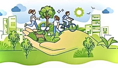 Could Lifestyle be the Main Difference in Environmental Impacts?
