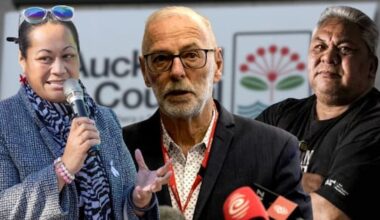 Councillors hit back at Wayne Brown's 'Pacific victims' remark