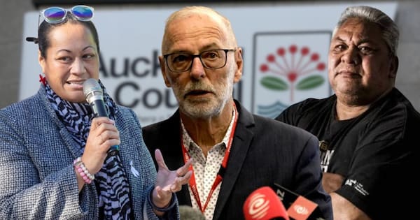 Councillors hit back at Wayne Brown's 'Pacific victims' remark