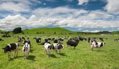 Gene technology bill delayed again — PM says 'it's complicated'