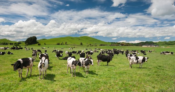 Gene technology bill delayed again — PM says 'it's complicated'