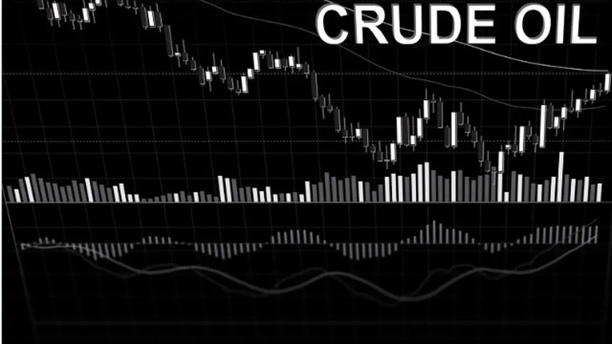 Crude prices could skyrocket to $200 If India cuts Russian oil: Sources