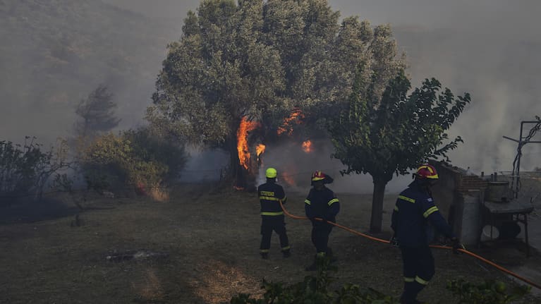 Czech firefighters try to put out a fire in Keratea, on the outskirts of Athens, August 8, 2025.