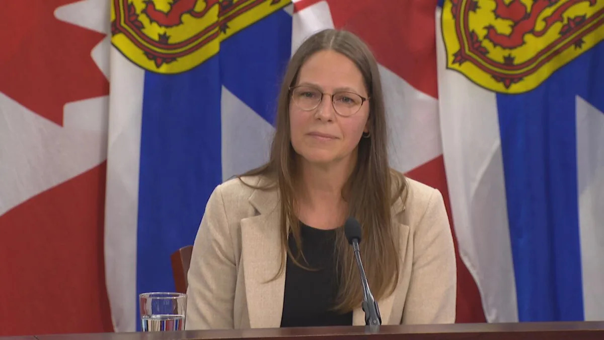 Members of environmental racism panel, N.S. government discuss meeting dates