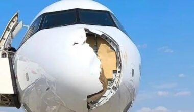 Chaos on Paris-bound flight as bird strike forces emergency landing