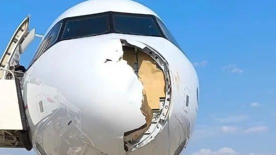 Chaos on Paris-bound flight as bird strike forces emergency landing