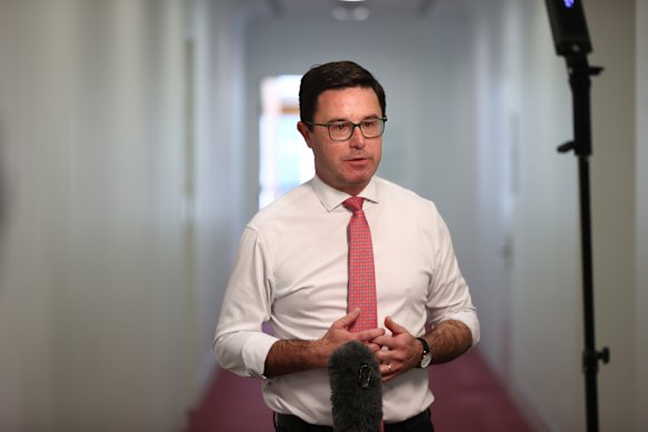 Nationals leader David Littleproud.