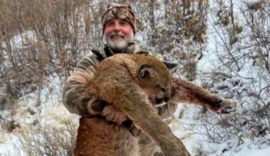 Millionaire trophy hunter gored to death by 1.3 tonne bull on African safari | News World | Metro News