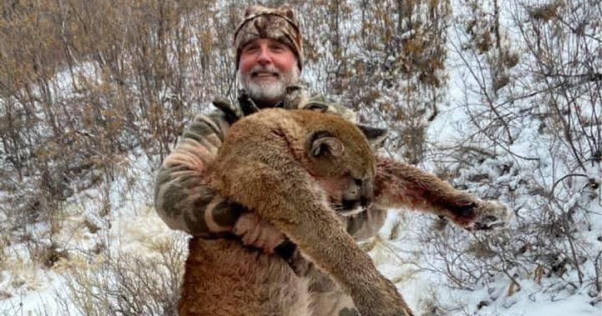 Millionaire trophy hunter gored to death by 1.3 tonne bull on African safari | News World | Metro News