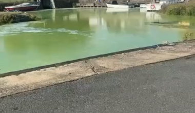 Footage from the Lough shows how bad the algae is again