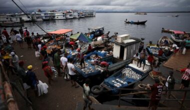 Brazil's fish industry, hit with a 50% US tariff, seeks a lifeline