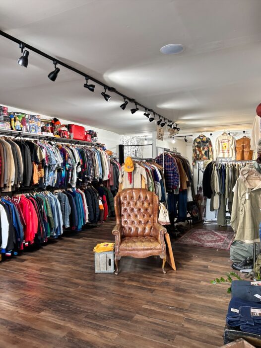 dames rva interior