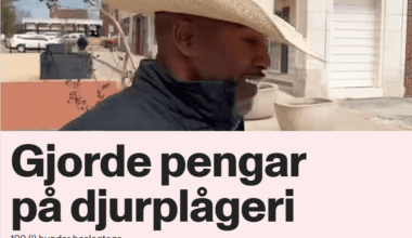 Är "gjorde pengar" verkligen korrekt svenska? Borde det inte stå "tjänade pengar"?
