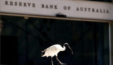 Analysis-RBA's new policy board comes with added unpredictability
