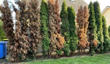 Kann man die retten?