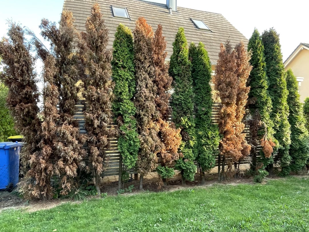 Kann man die retten?