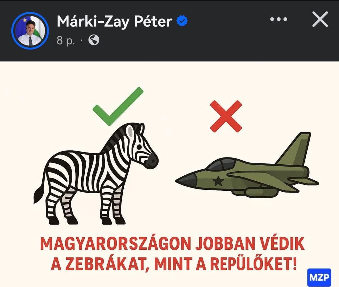 MZP lecsapta.