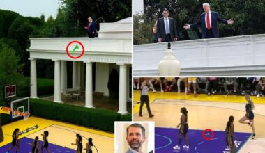 Trump Jr. posts pic of president 'tossing' sex toy onto WNBA court