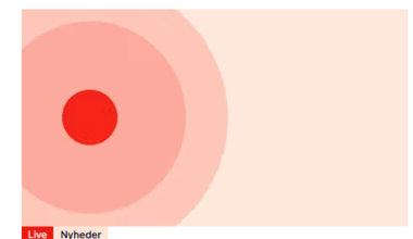 Er der andre end mig der ser en brystvorte hver gang de besøger TV2's hjemmeside?