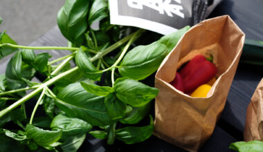 From Iceland — Farmers Markets In Iceland: Are There Any?