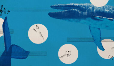 Photo collage of blue whales, krill, and musical notation