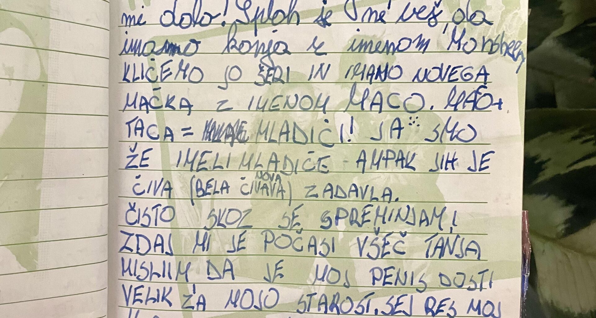 Dnevnik 11 letnega zmedenega fanta brez dostopa do interneta