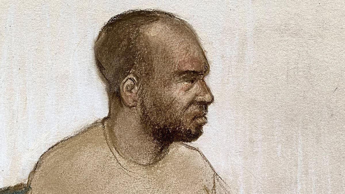 Ethiopian asylum seeker 'who grabbed schoolgirl, 14, and tried to kiss her' begged for forgiveness after police called, court hears
