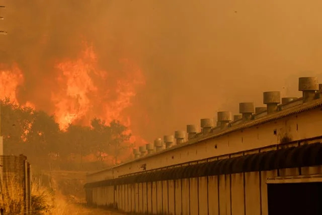 A fire approaches a farm during a wildfire in Santa Baia De Montes, north-western Spain 