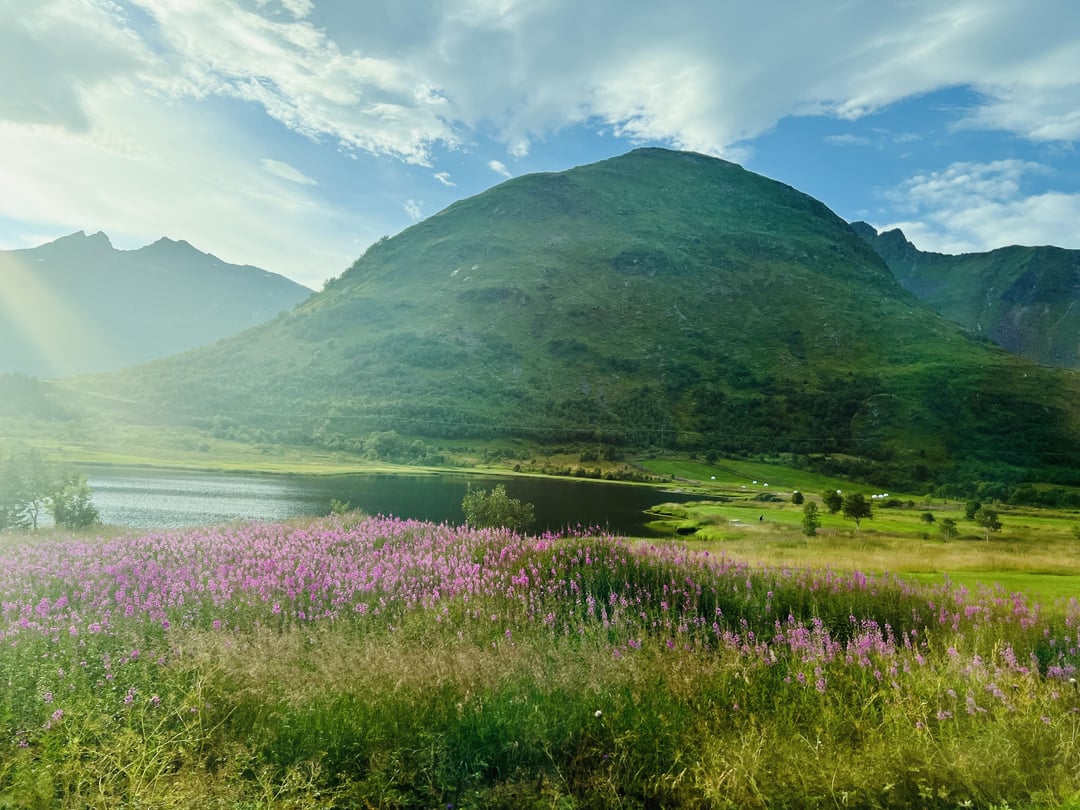 We’re in Lofoten, so gorgeous