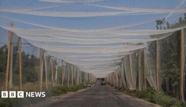 Anti-drone nets hang over a quiet rural road in the Ukrainian region of Donetsk.