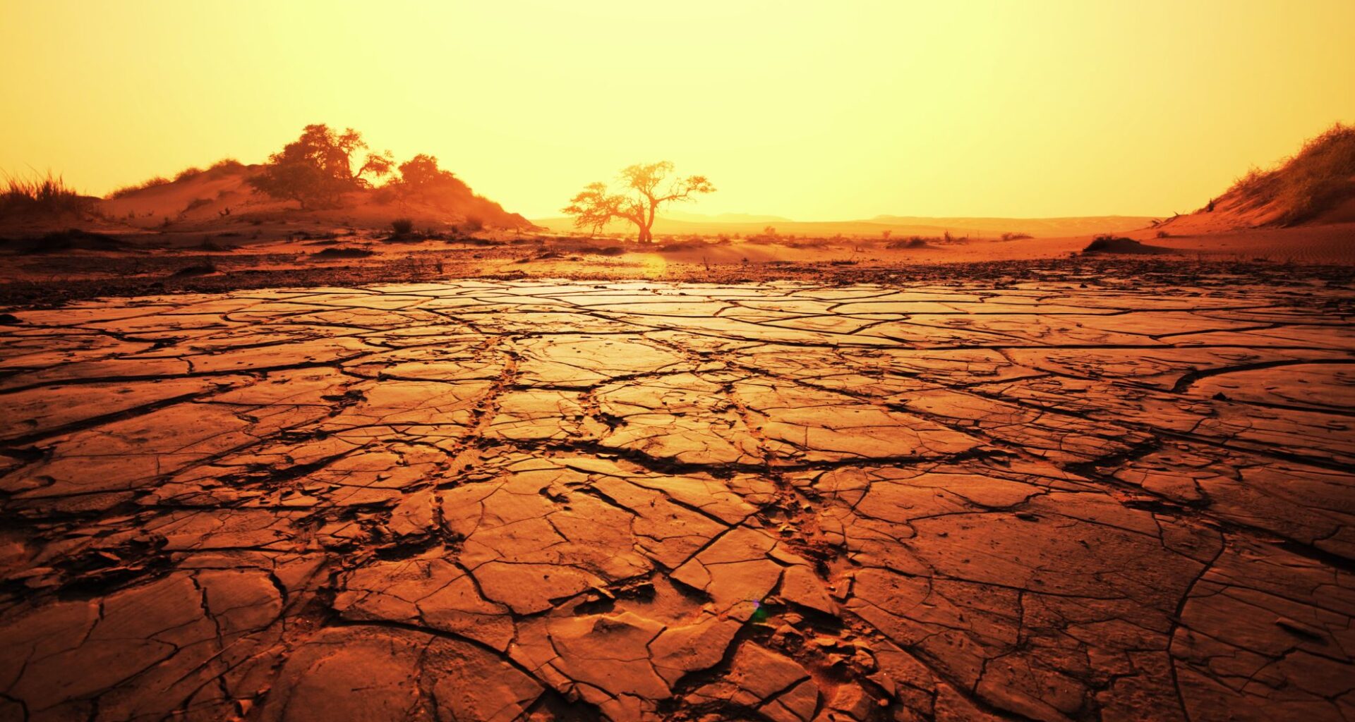 Earth’s Continents Drying Faster Than Ever, Scientists Warn Of Severe Climate Consequences
