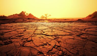 Earth’s Continents Drying Faster Than Ever, Scientists Warn Of Severe Climate Consequences