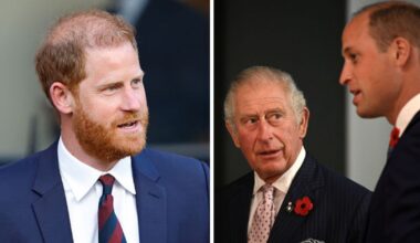 Royal Expert Says Prince Harry’s Fallout with William Is a ‘Different Beast’ Than Rift With Charles