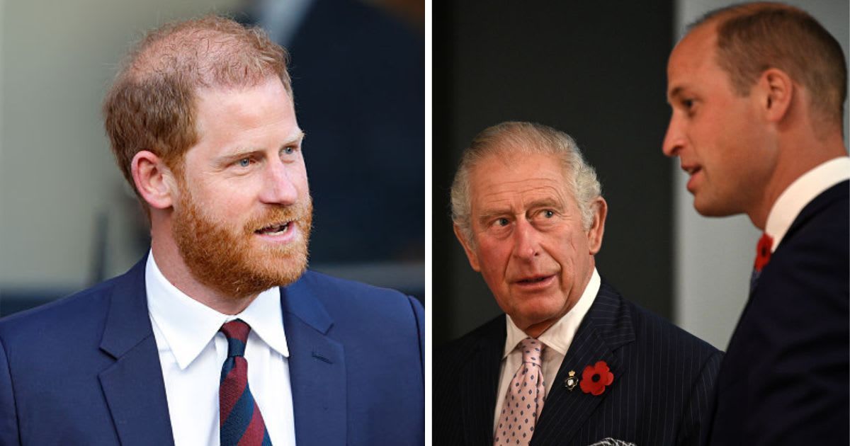 Royal Expert Says Prince Harry’s Fallout with William Is a ‘Different Beast’ Than Rift With Charles