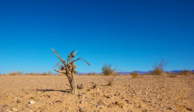 Report: Coordinated Social Media Campaigns From Oil-rich Arabic States Spread Climate Denial